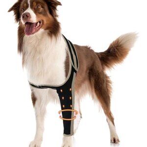 Lispoo Dog Recovery Front Left Leg Medium Cone Alternative Anti Licking Sleeve
